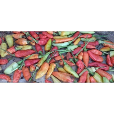 Harga Lombok Merah 1kg Terbaru Juli 2022 .
